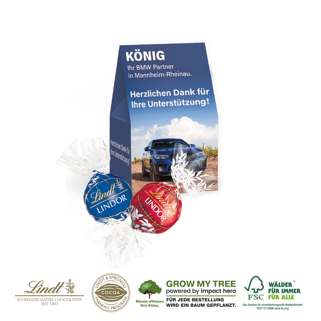 Präsentverpackung Selection Mini mit Lindt Lindor Pralinés, 2er