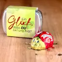 Geschenkdose "Ein Glück, dass DU bei uns bist" - Marienkäfer